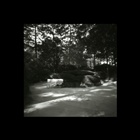 dailyPhoto9